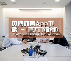 研发能力标题二